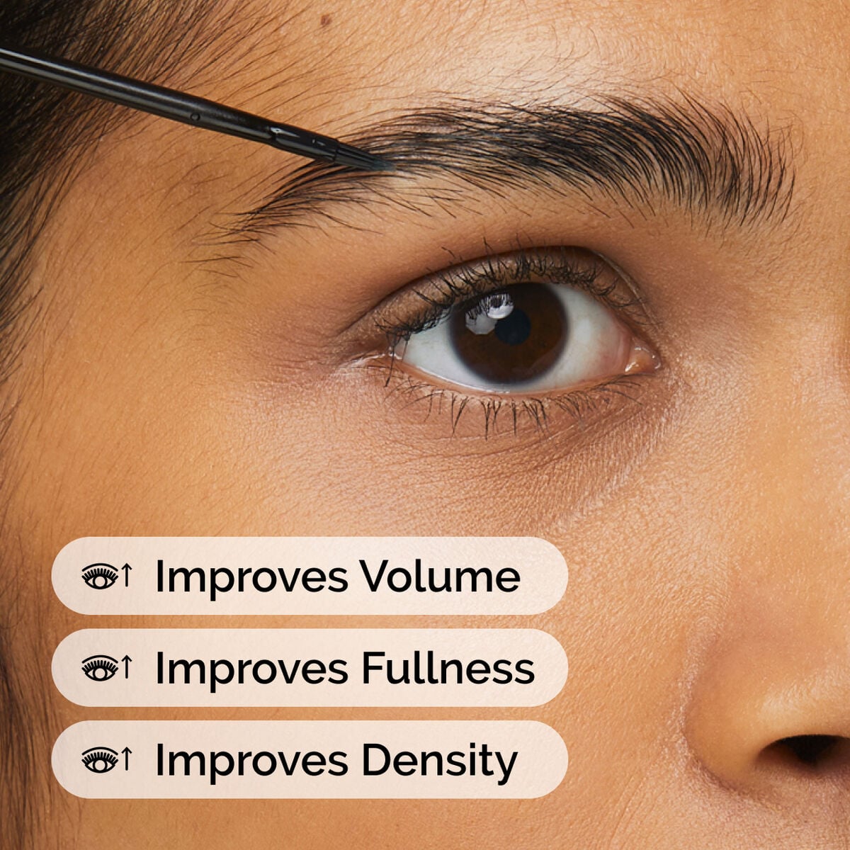 Multi-Peptide Lash and Brow Serum Targeted Eye Support Q6